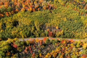 10a Off Turtle Lake Rd, , Winchester,  WI 54557 United States
