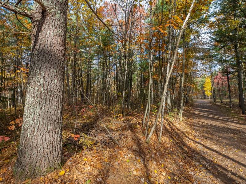 16 Blue Sky Ln, , Lac du Flambeau,  WI 54538 45.9095571,-89.9021703