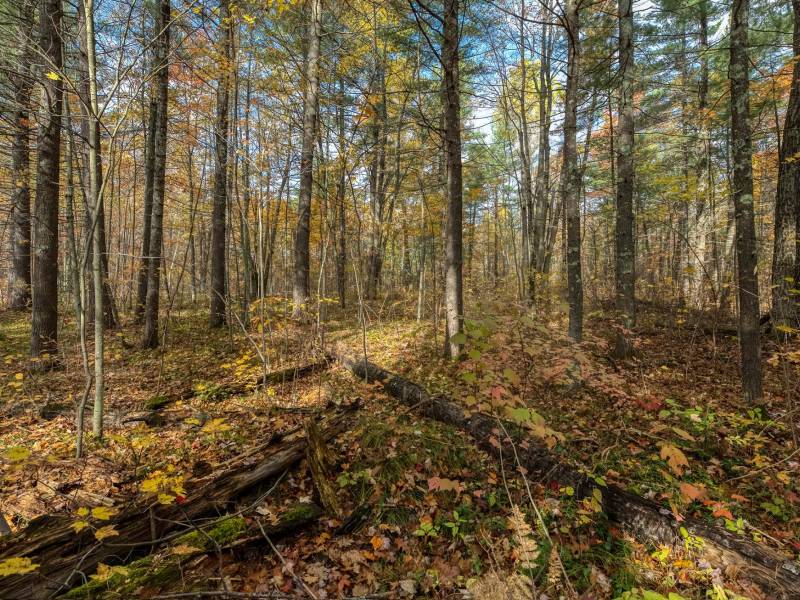 16 Blue Sky Ln, , Lac du Flambeau,  WI 54538 45.9095571,-89.9021703