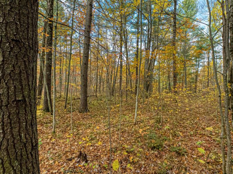 16 Blue Sky Ln, , Lac du Flambeau,  WI 54538 45.9095571,-89.9021703