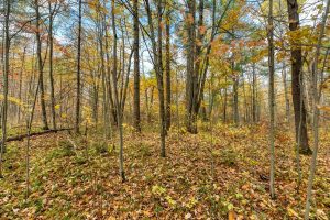 16 Blue Sky Ln, , Lac du Flambeau,  WI 54538 45.9095571,-89.9021703