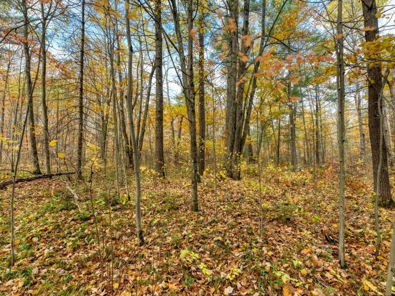 16 Blue Sky Ln, , Lac du Flambeau,  WI 54538 45.9095571,-89.9021703