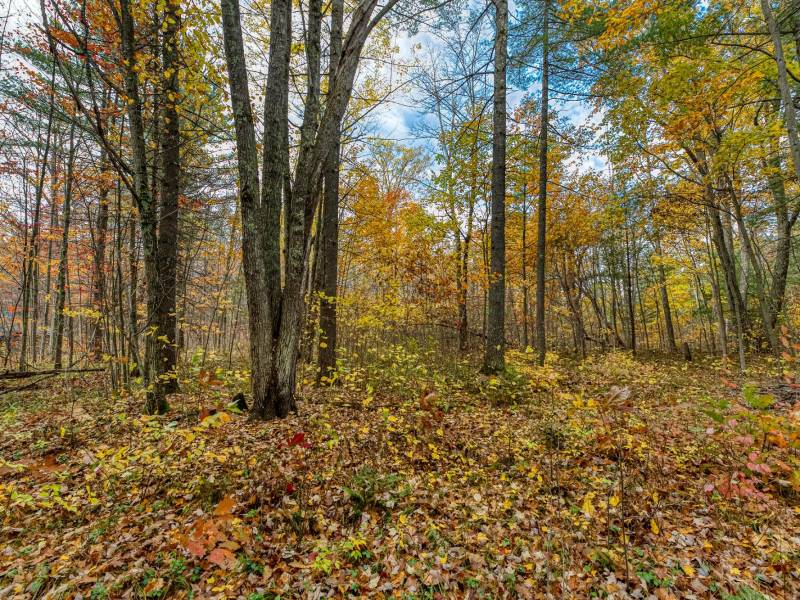 16 Blue Sky Ln, , Lac du Flambeau,  WI 54538 45.9095571,-89.9021703