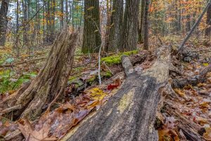 16 Blue Sky Ln, , Lac du Flambeau,  WI 54538 45.9095571,-89.9021703