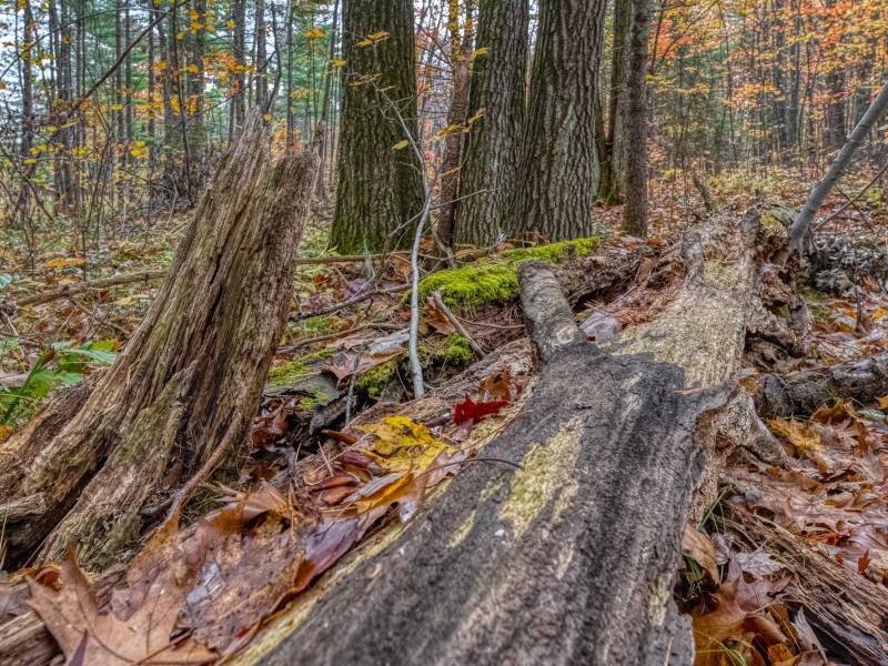 16 Blue Sky Ln, , Lac du Flambeau,  WI 54538 45.9095571,-89.9021703