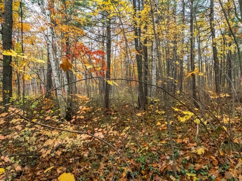 16 Blue Sky Ln, , Lac du Flambeau,  WI 54538 45.9095571,-89.9021703