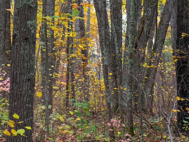 16 Blue Sky Ln, , Lac du Flambeau,  WI 54538 45.9095571,-89.9021703