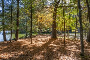 1612 McKinley Blvd, , Eagle River,  WI 54521 United States