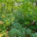 Eagle Waters Rd., , Eagle River,  WI 54521 United States