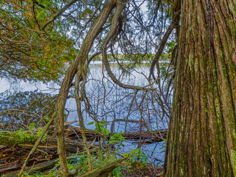 Eagle Waters Rd., , Eagle River,  WI 54521 United States