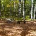 2674 Sunrise Cir, , Phelps,  WI 54554 United States
