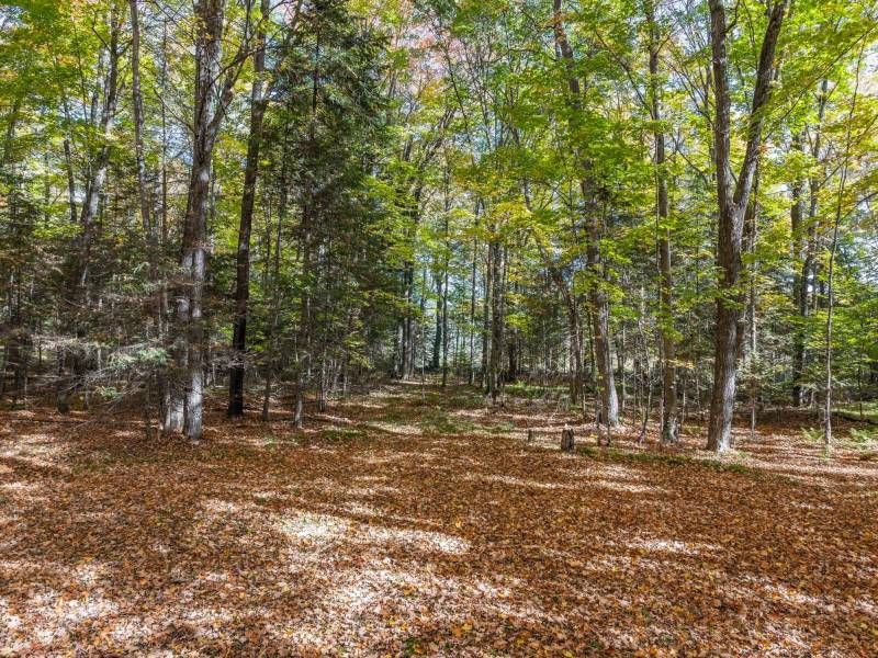2674 Sunrise Cir, , Phelps,  WI 54554 United States