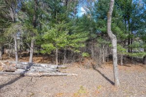 2817 Shay D Ln, , St. Germain,  WI 54560 United States