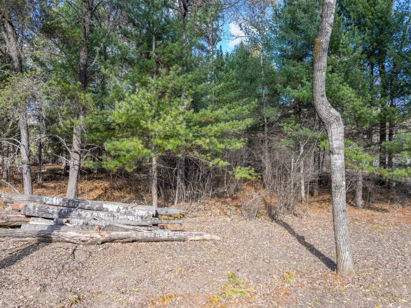 2817 Shay D Ln, , St. Germain,  WI 54560 United States