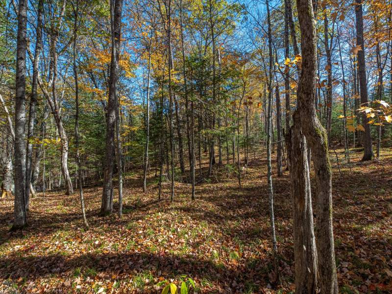 2973 Pine Island Lake Rd, , Coniover,  WI 54519 United States