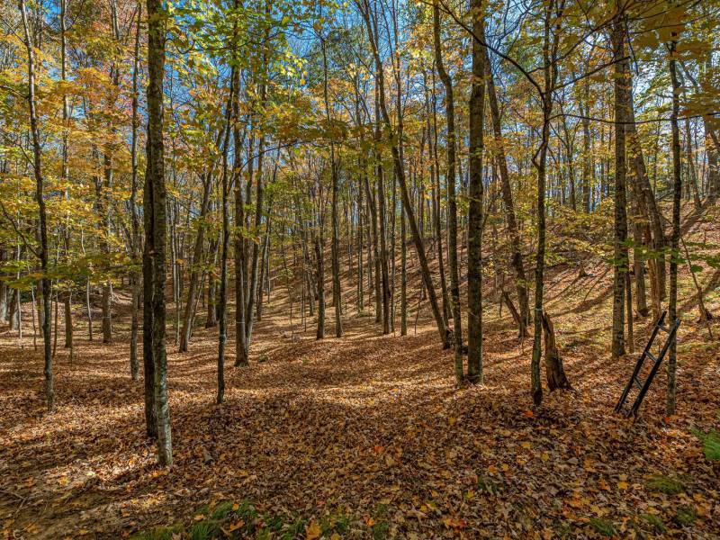 2973 Pine Island Lake Rd, , Coniover,  WI 54519 United States