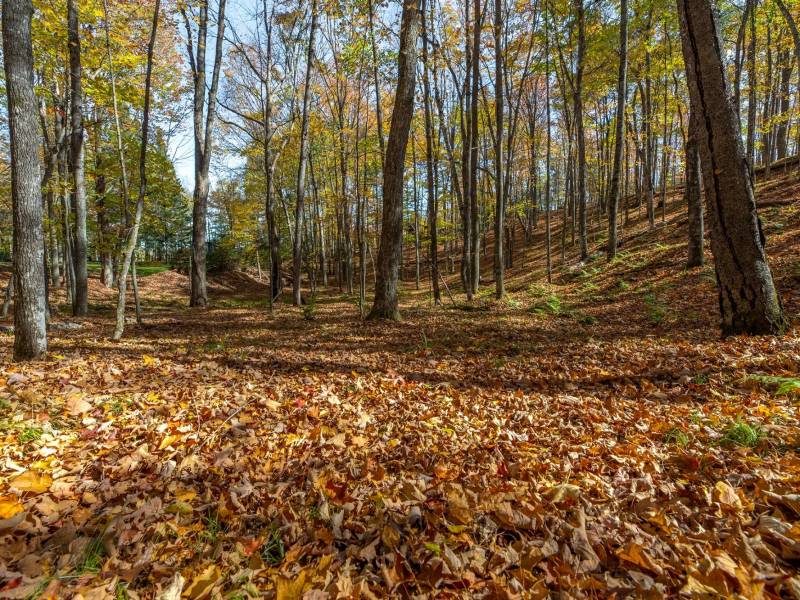 2973 Pine Island Lake Rd, , Coniover,  WI 54519 United States