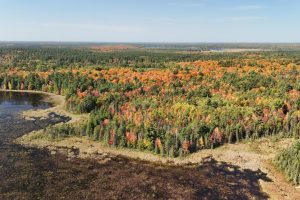 364 Sawmill Landing, , Three Lakes,  WI 54562 United States