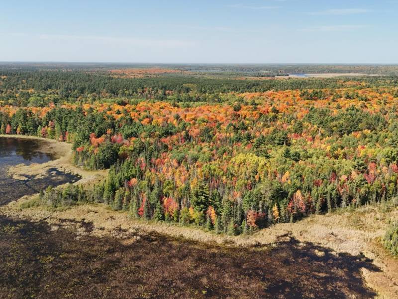 364 Sawmill Landing, , Three Lakes,  WI 54562 United States
