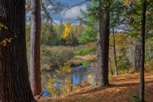 4663 Dyer Rd, , Eagle River,  WI 54521 United States