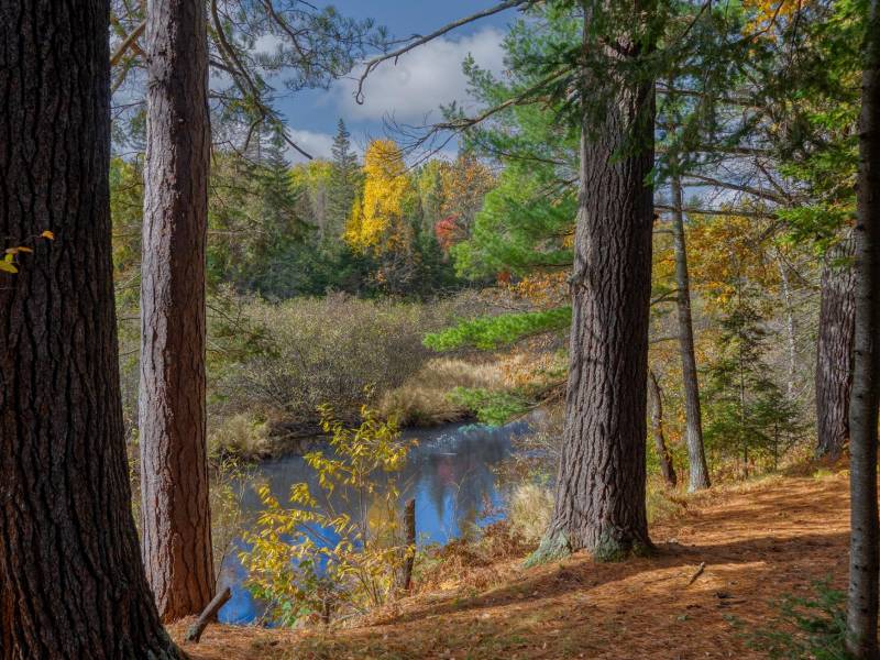 4663 Dyer Rd, , Eagle River,  WI 54521 United States