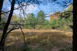 4663 Dyer Rd, , Eagle River,  WI 54521 United States