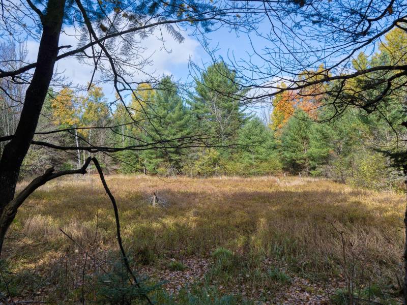 4663 Dyer Rd, , Eagle River,  WI 54521 United States