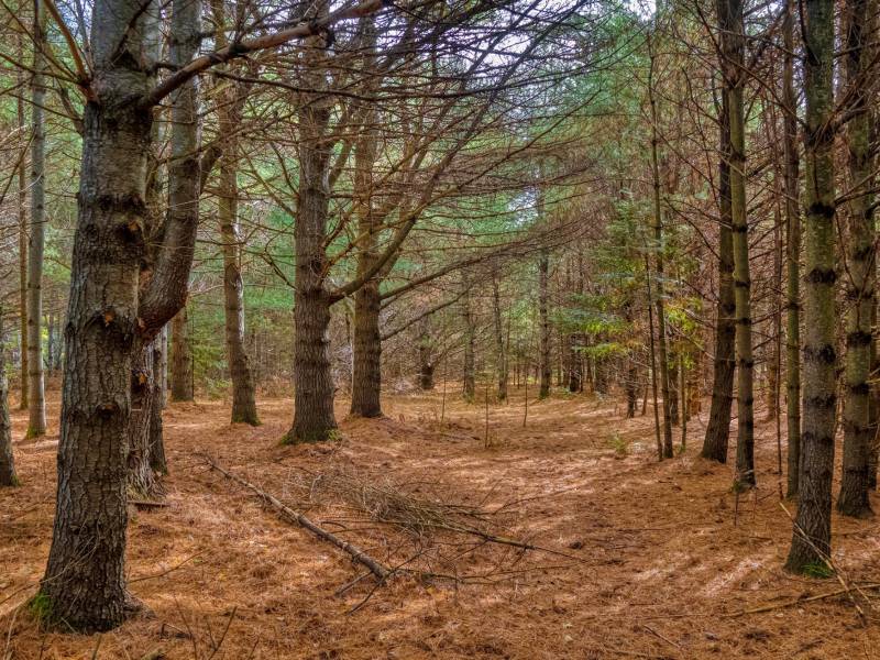 4663 Dyer Rd, , Eagle River,  WI 54521 United States