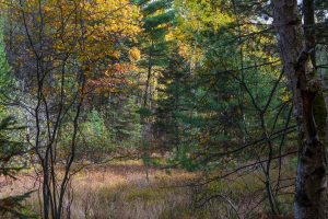 4663 Dyer Rd, , Eagle River,  WI 54521 United States