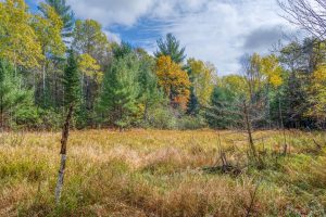 4663 Dyer Rd, , Eagle River,  WI 54521 United States