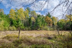 4663 Dyer Rd, , Eagle River,  WI 54521 United States