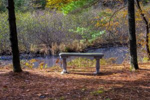 4663 Dyer Rd, , Eagle River,  WI 54521 United States