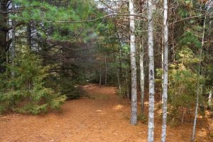 4663 Dyer Rd, , Eagle River,  WI 54521 United States