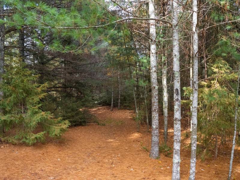 4663 Dyer Rd, , Eagle River,  WI 54521 United States