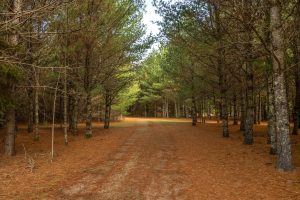 4663 Dyer Rd, , Eagle River,  WI 54521 United States