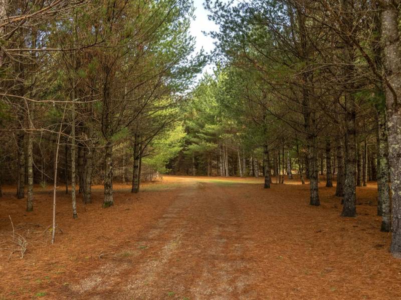 4663 Dyer Rd, , Eagle River,  WI 54521 United States