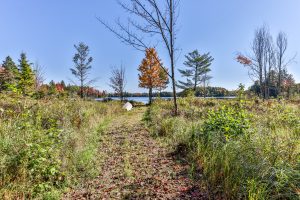 7650 Annabelle Lake Rd, , Presque Isle,  WI 54557 United States
