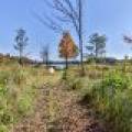 7650 Annabelle Lake Rd, , Presque Isle,  WI 54557 United States