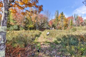 7650 Annabelle Lake Rd, , Presque Isle,  WI 54557 United States