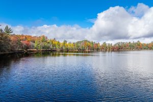 8614 Tappa Win Dr, , Lake Tomahawk,  WI 54539 United States