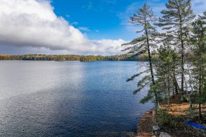 8614 Tappa Win Dr, , Lake Tomahawk,  WI 54539 United States