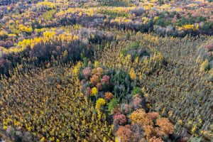 8614 Tappa Win Dr, , Lake Tomahawk,  WI 54539 United States