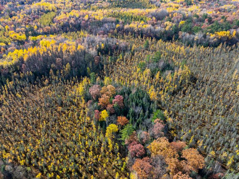 8614 Tappa Win Dr, , Lake Tomahawk,  WI 54539 United States