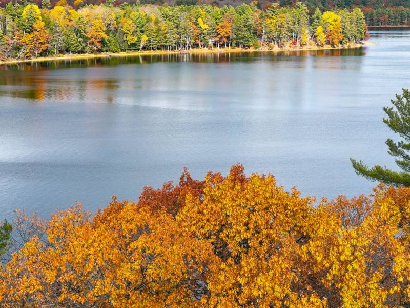 8614 Tappa Win Dr, , Lake Tomahawk,  WI 54539 United States