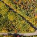 N5 Off Turtle Lake Rd, , Winchester,  WI 54557 United States