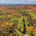 N5 Off Turtle Lake Rd, , Winchester,  WI 54557 United States