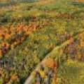 N5 Off Turtle Lake Rd, , Winchester,  WI 54557 United States