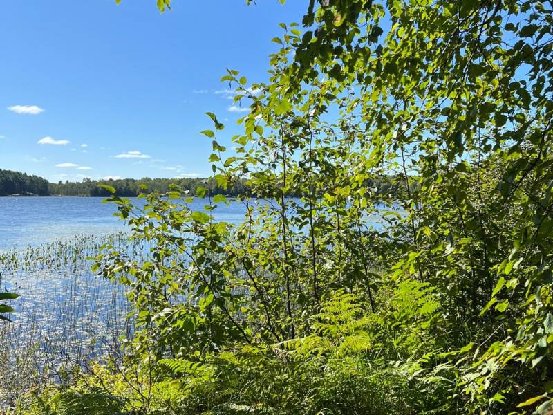 Off Booth Lake Rd, , Minoqua,  WI 54548 United States