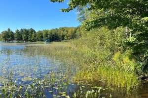 Off Booth Lake Rd, , Minoqua,  WI 54548 United States