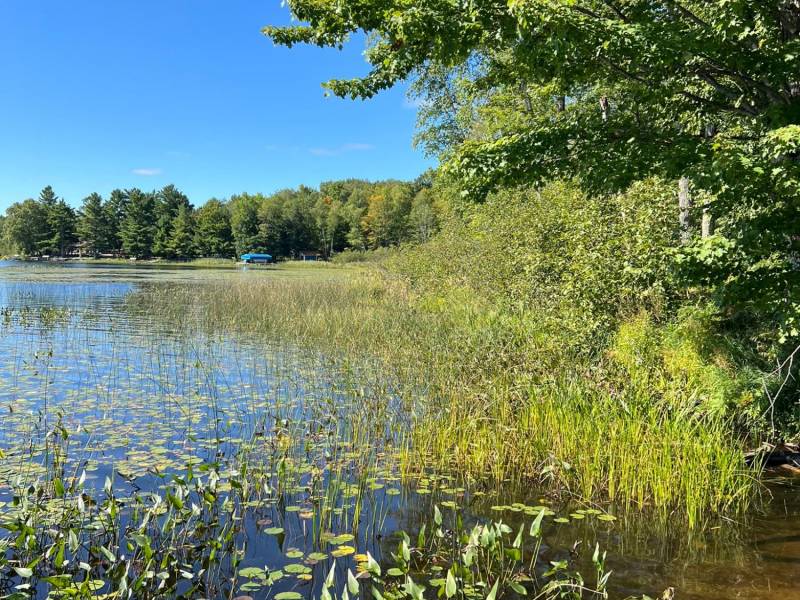 Off Booth Lake Rd, , Minoqua,  WI 54548 United States